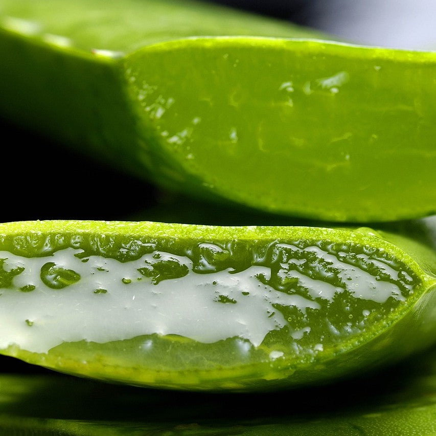 Tranquility Facial Moisturizing Gel - For Oily Skin