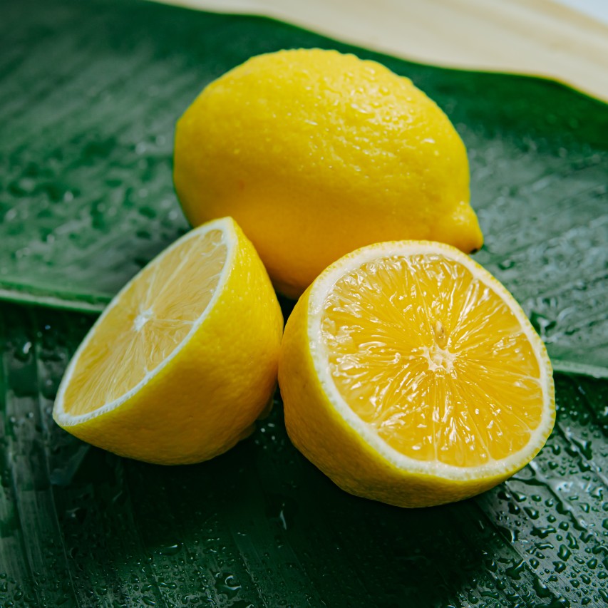 Tranquility Facial Exfoliant - For Oily Skin