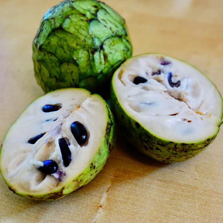 Cherimoya