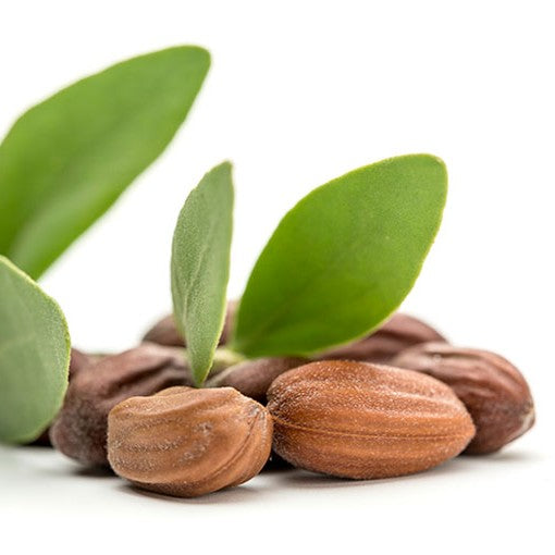 Jojoba Oil