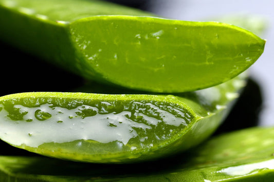 Aloe Leaf Extract