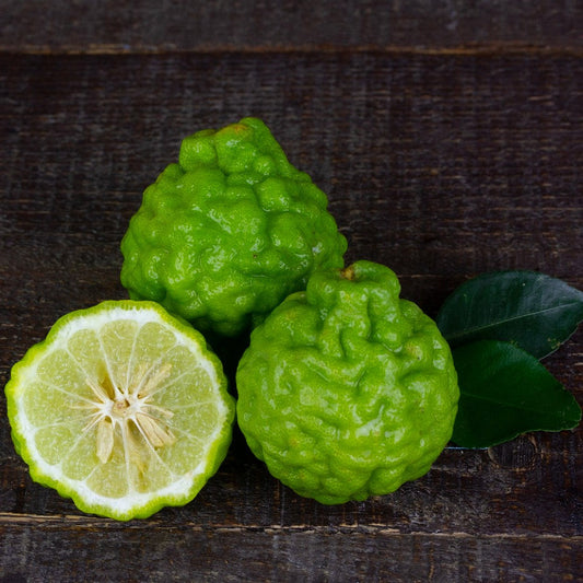 Bergamot Essential Oil