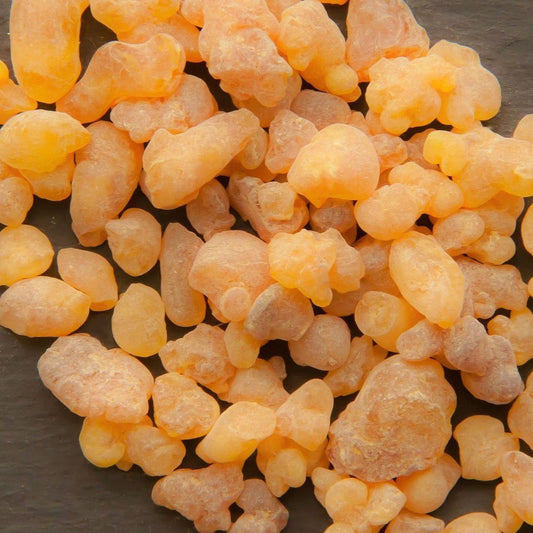 Boswellia Serrata Extract