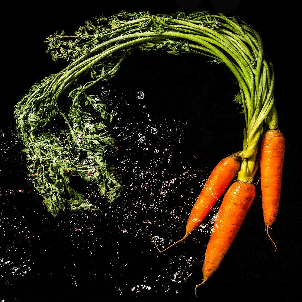 Carrot Root
