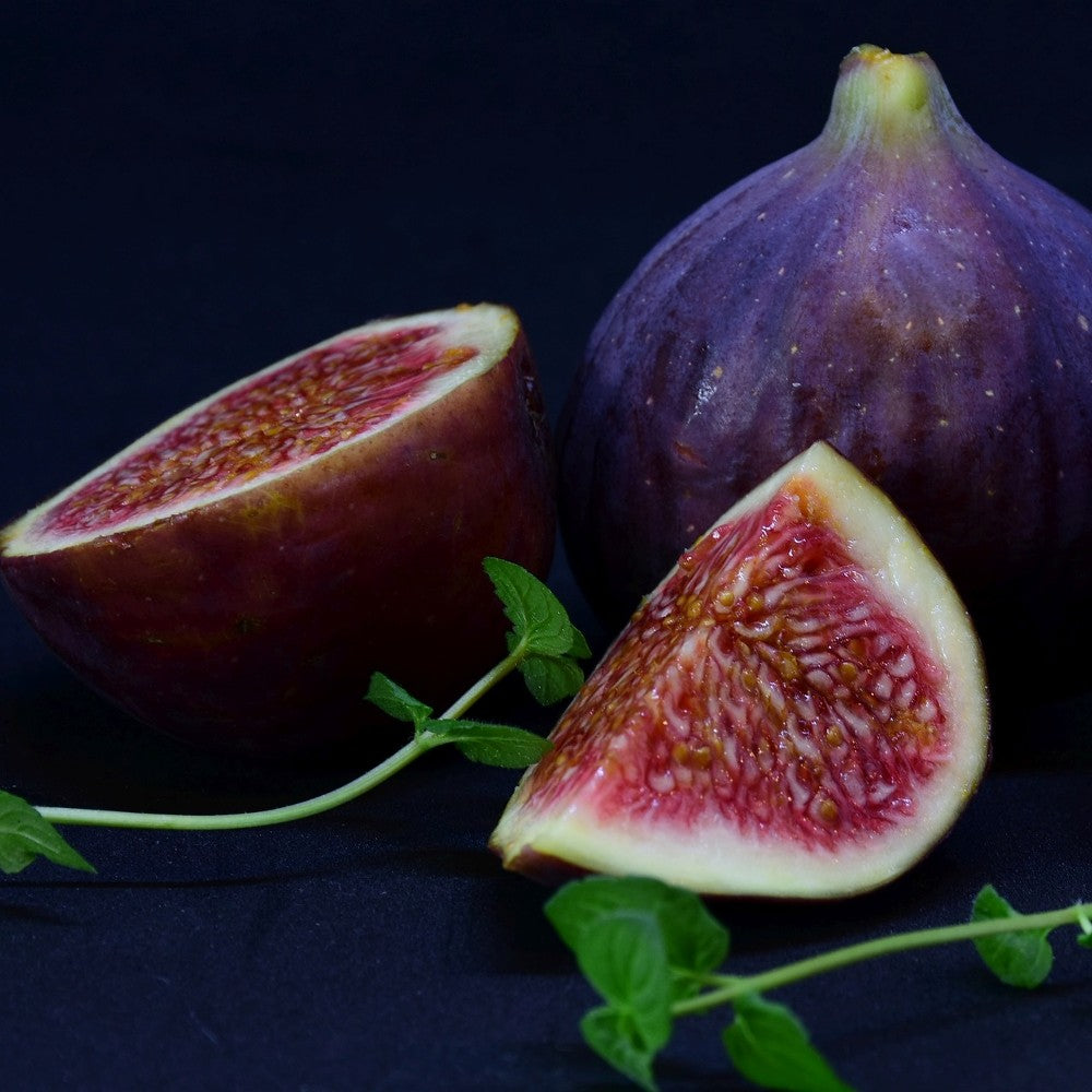 Fig