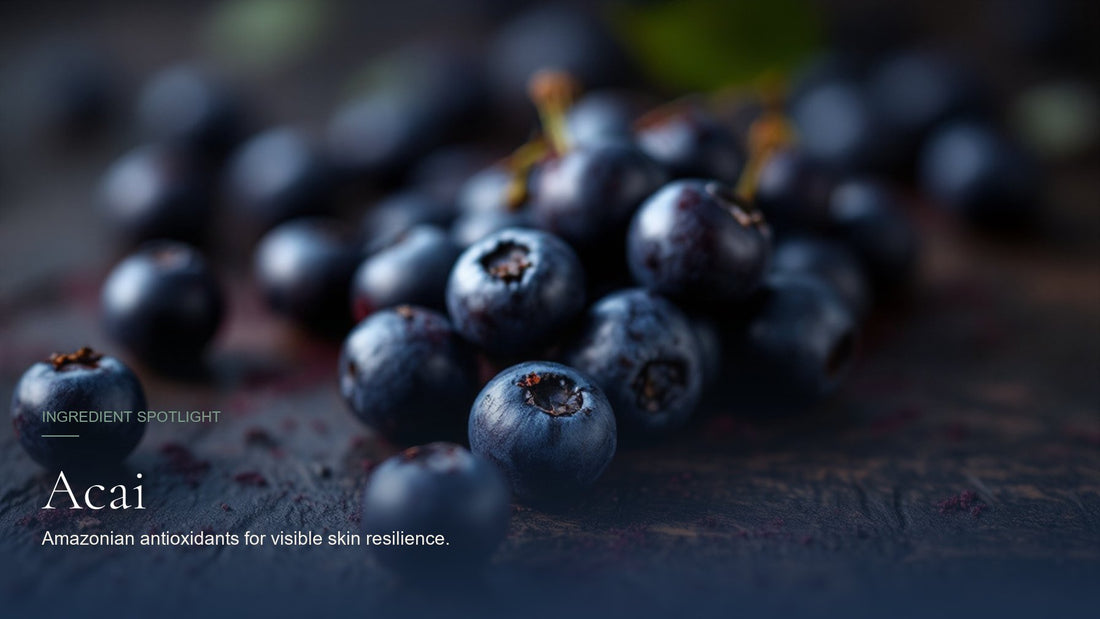 Acai, ingredient spotlight hero image