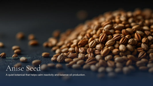 Anise Seed, ingredient spotlight hero image