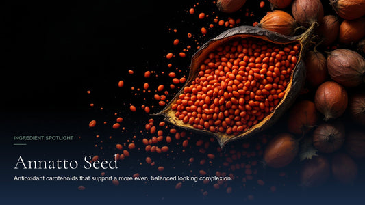 Annatto Seed, ingredient spotlight hero image