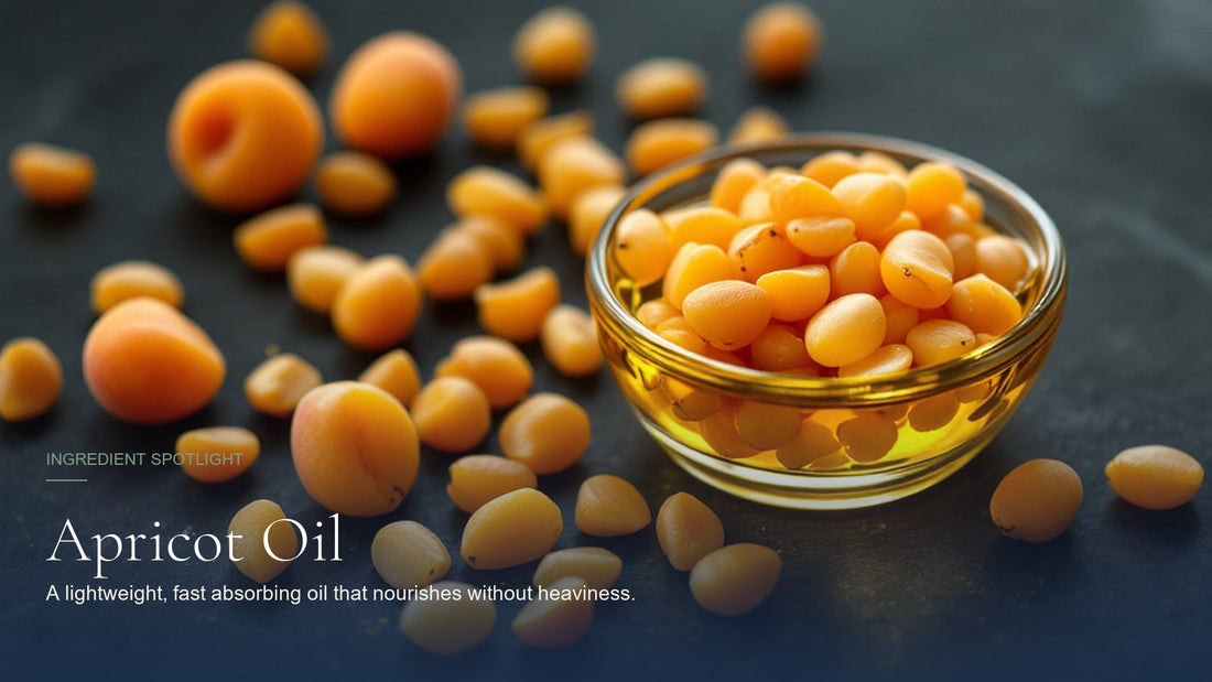 Apricot Oil, ingredient spotlight hero image