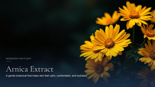 Arnica Extract, ingredient spotlight hero image