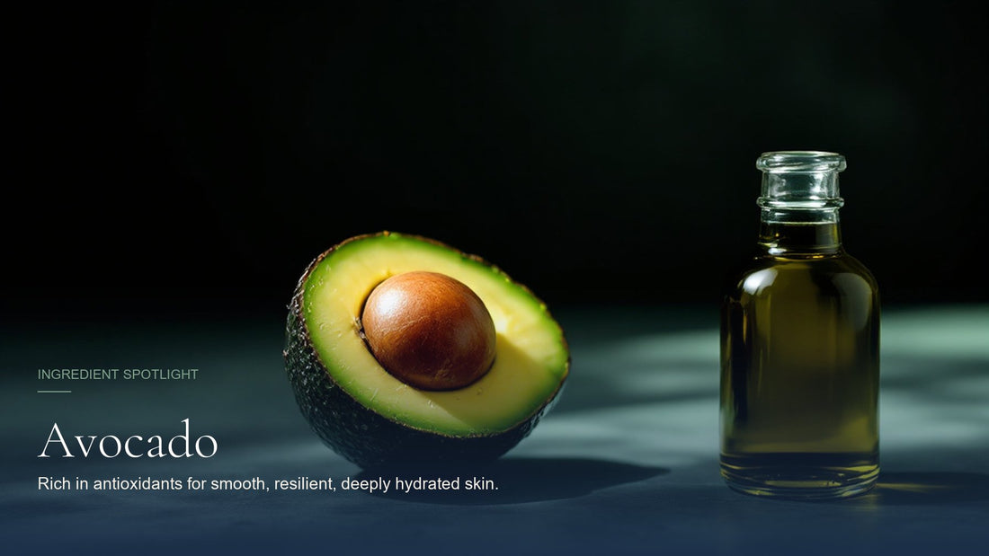 Avocado, ingredient spotlight hero image