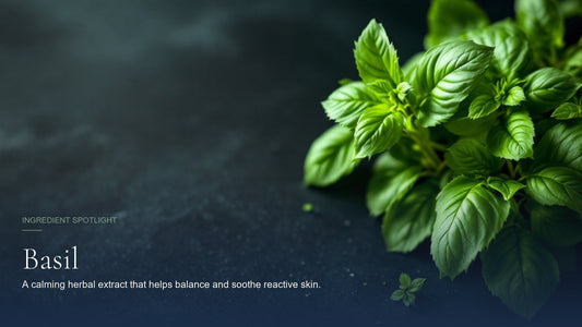 Basil, ingredient spotlight hero image