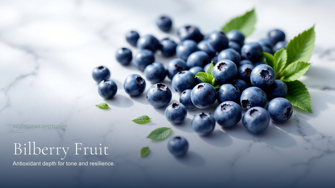 Bilberry Fruit for Skin: Antioxidant Tone and Resilience
