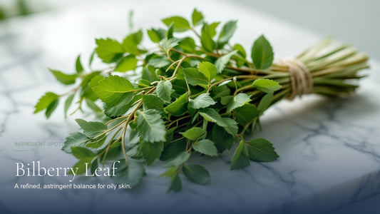 Bilberry Leaf for Skin: Astringent Balance for Oily Skin