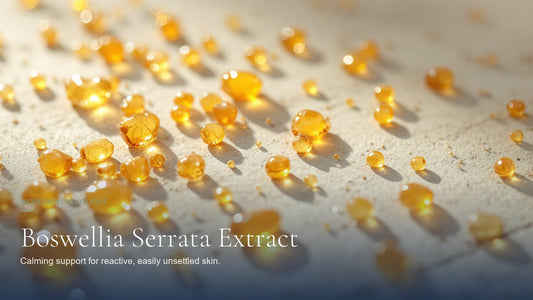 Boswellia Serrata Extract, ingredient spotlight hero image