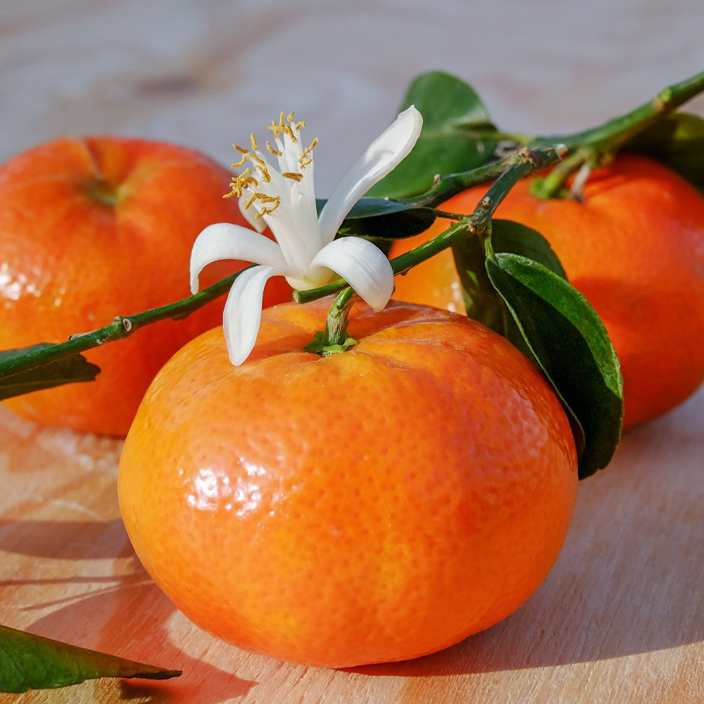 Mandarin Extract