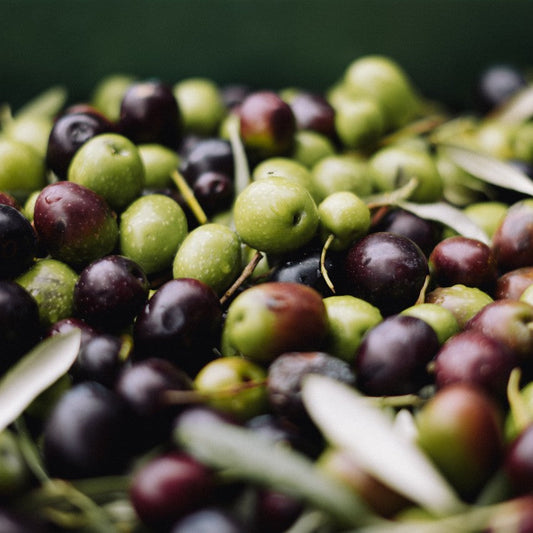 Olive