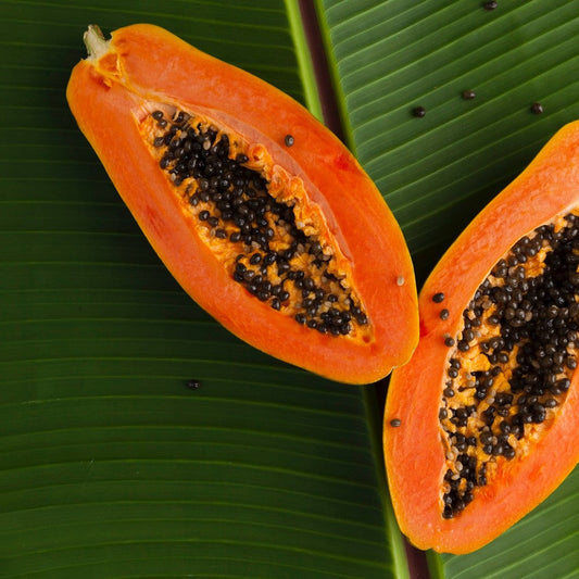 Papain & Bromelain