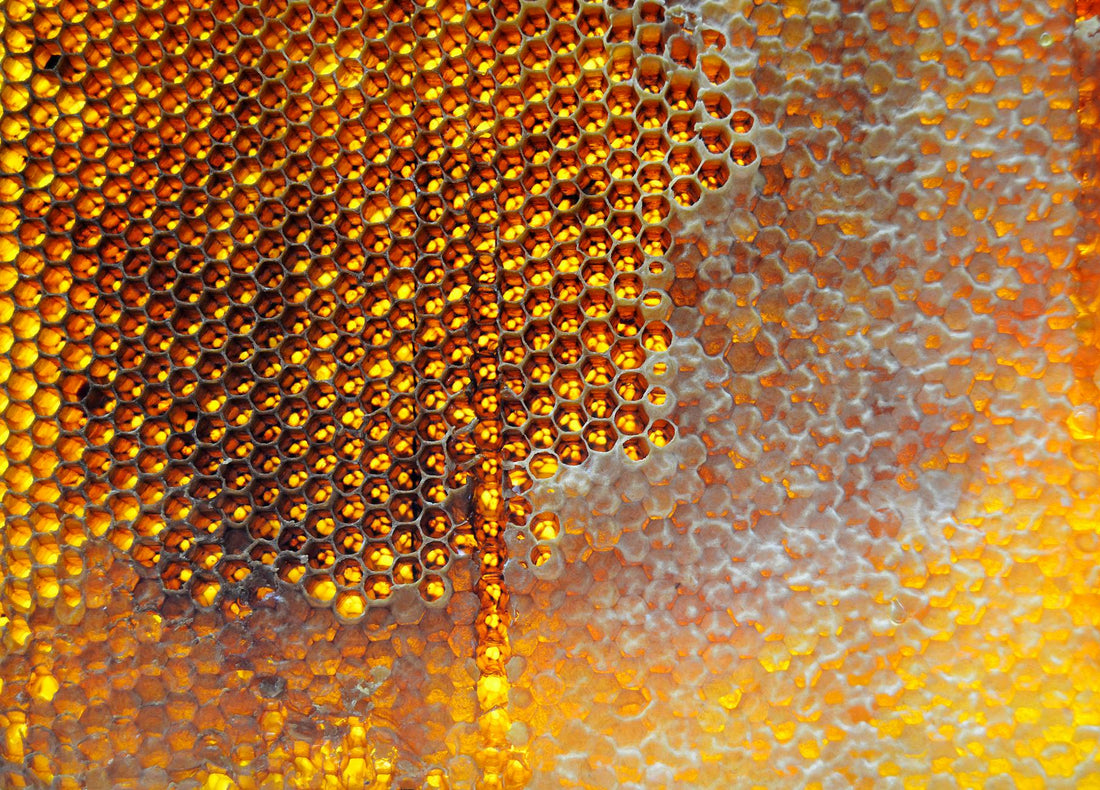 Honey