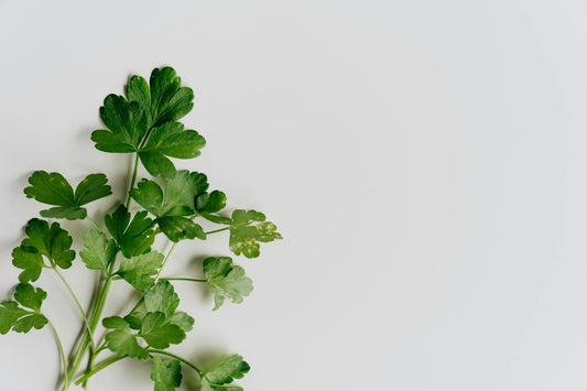 Marjoram