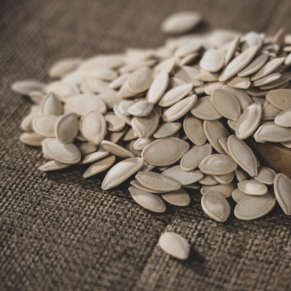 Pumpkin Seed