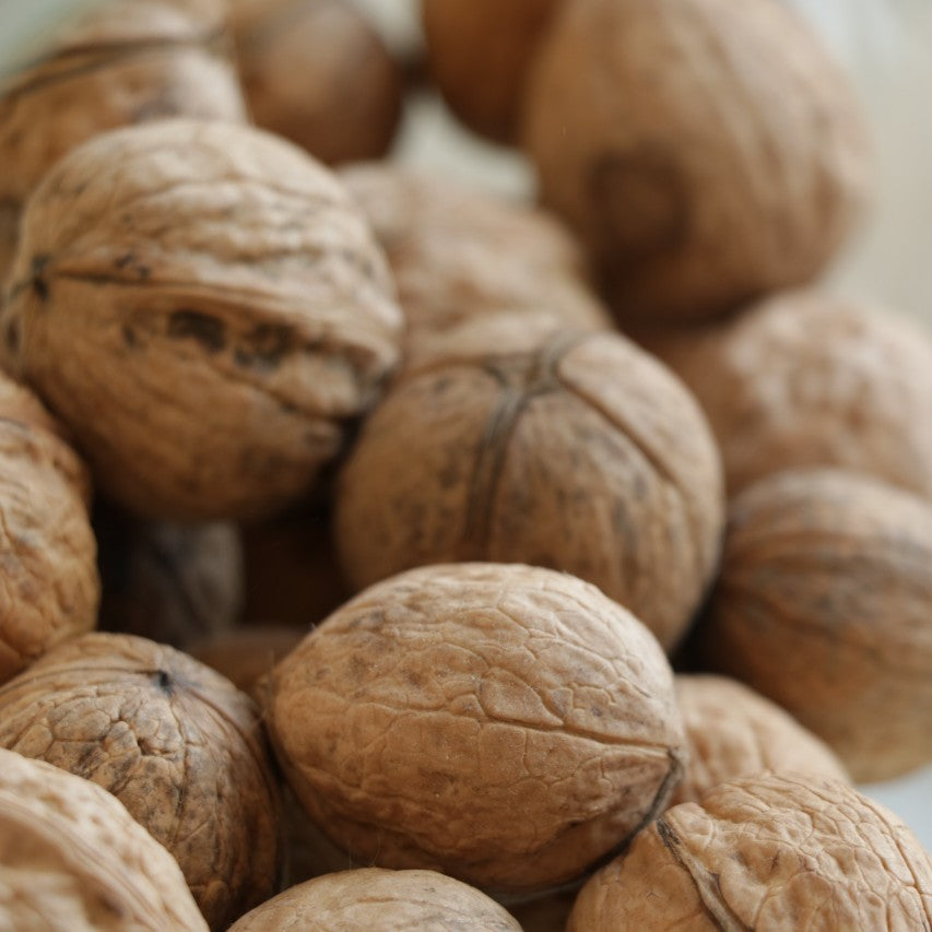 Shea Butter