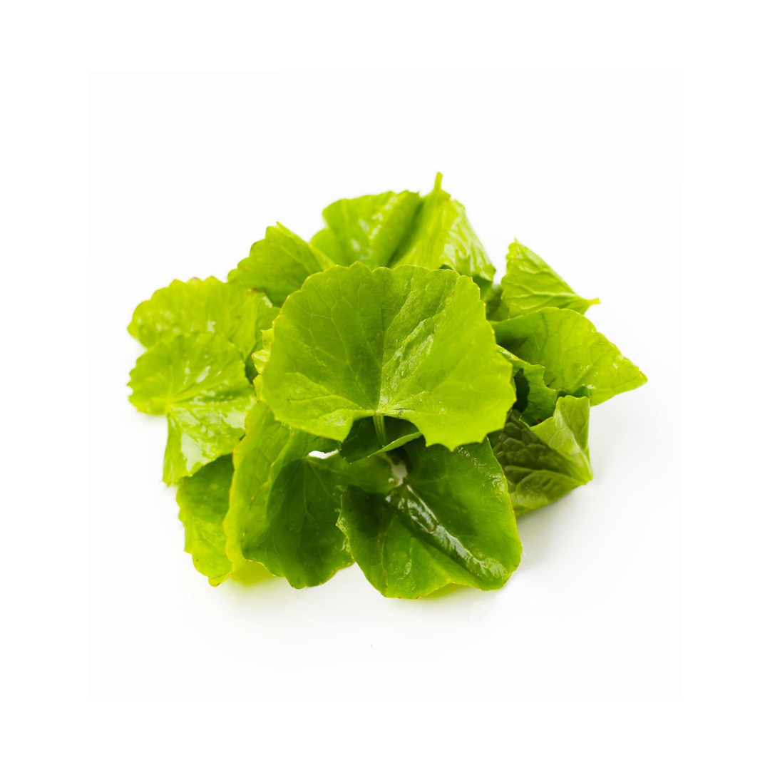 Sérum visage Tranquilité - Pour peaux grasses