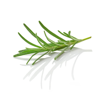 Sérum visage Tranquilité - Pour peaux grasses