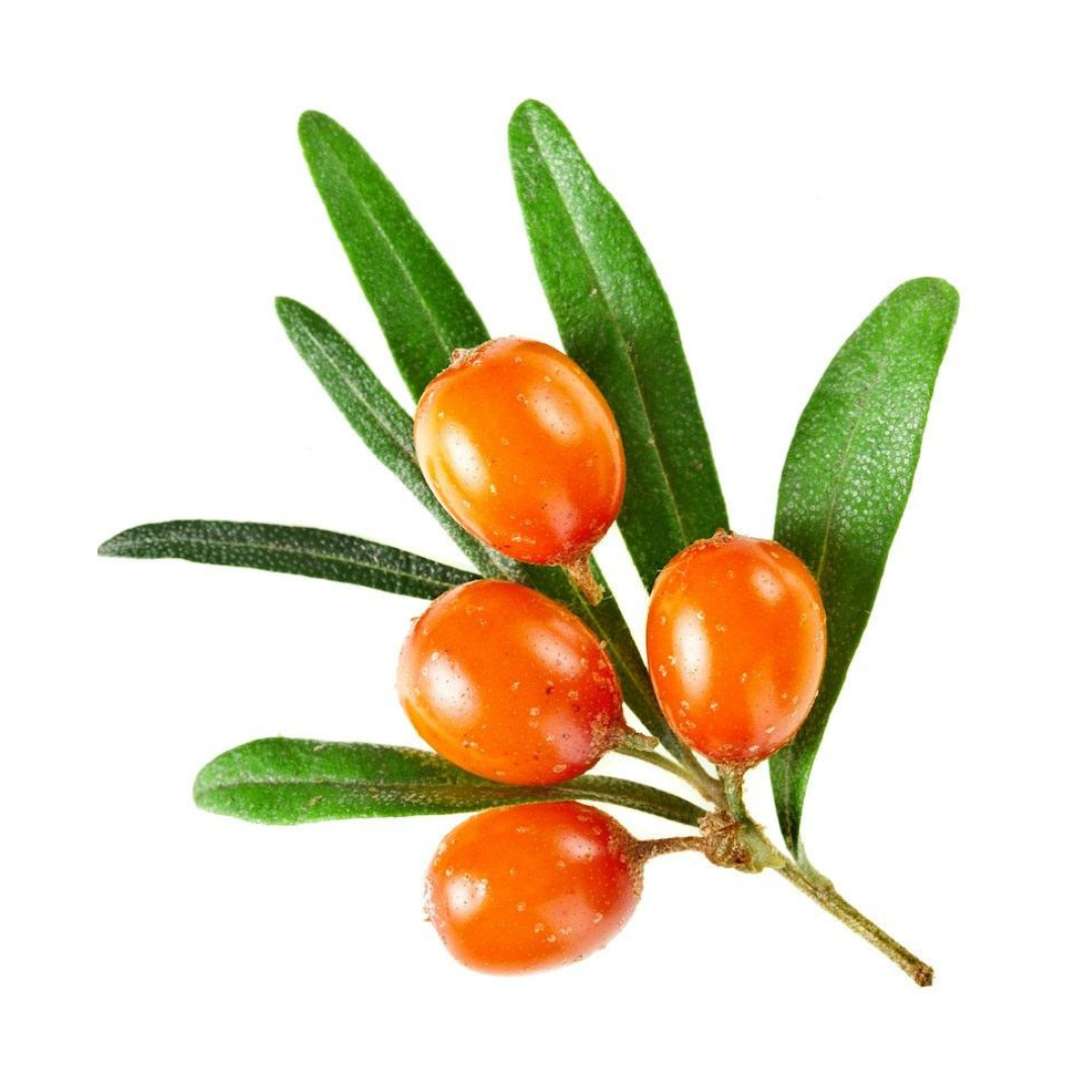 Sérum visage Tranquilité - Pour peaux grasses